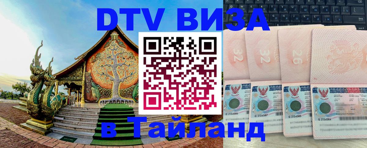 Сколько стоит DTV виза — актуальные цены, оформление даже без документов - Орск 